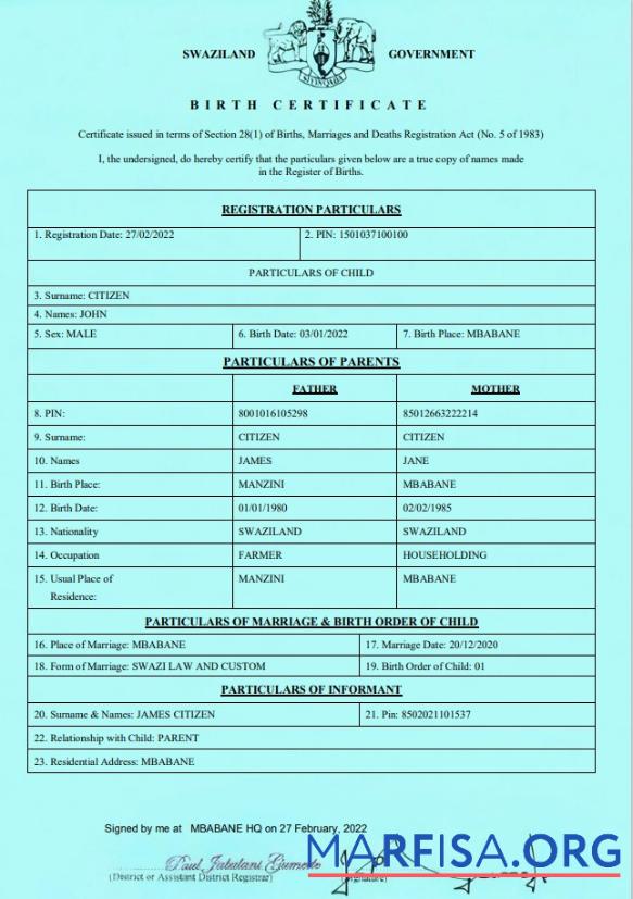 Realistic Swaziland birth certificate template in Word and PDF formatSwaziland birth certificate template in Word and PDF format